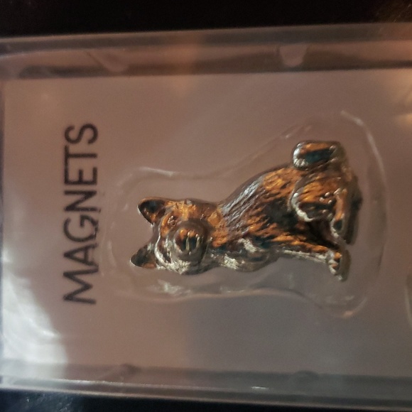 8 Solid Metal Dog Magnets 🧲 - Picture 3 of 6